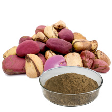 100% natural kola nut extract kola nut extract powder